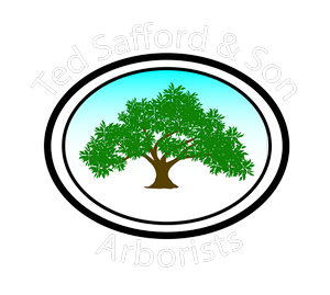 Ted Safford & Son, Arborists logo