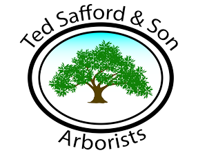 Ted Safford & Son Arborists