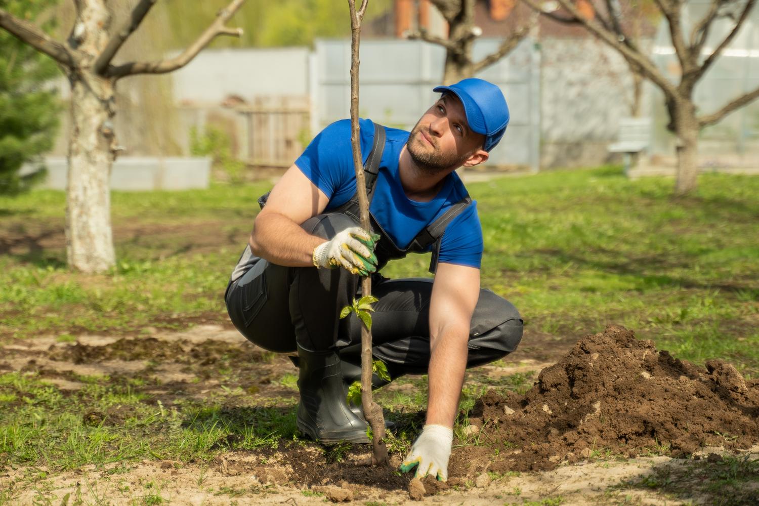 Tree Selection and Planting