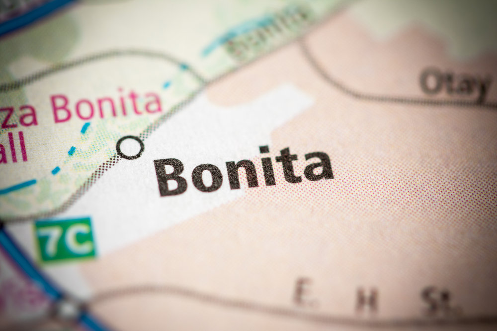 Comprehensive Tree Care Services in Bonita, CA