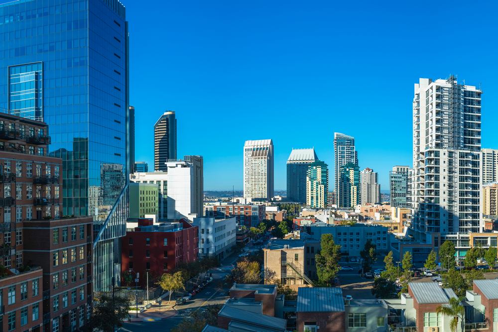 Expert Licensed Arborists in Downtown San Diego, CA