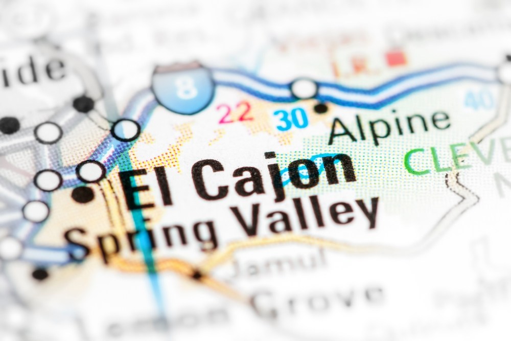 Fine Pruning Services in El Cajon
