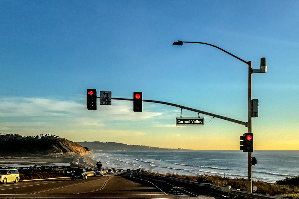 Palm Tree Maintenance Services in Carmel Valley, CA