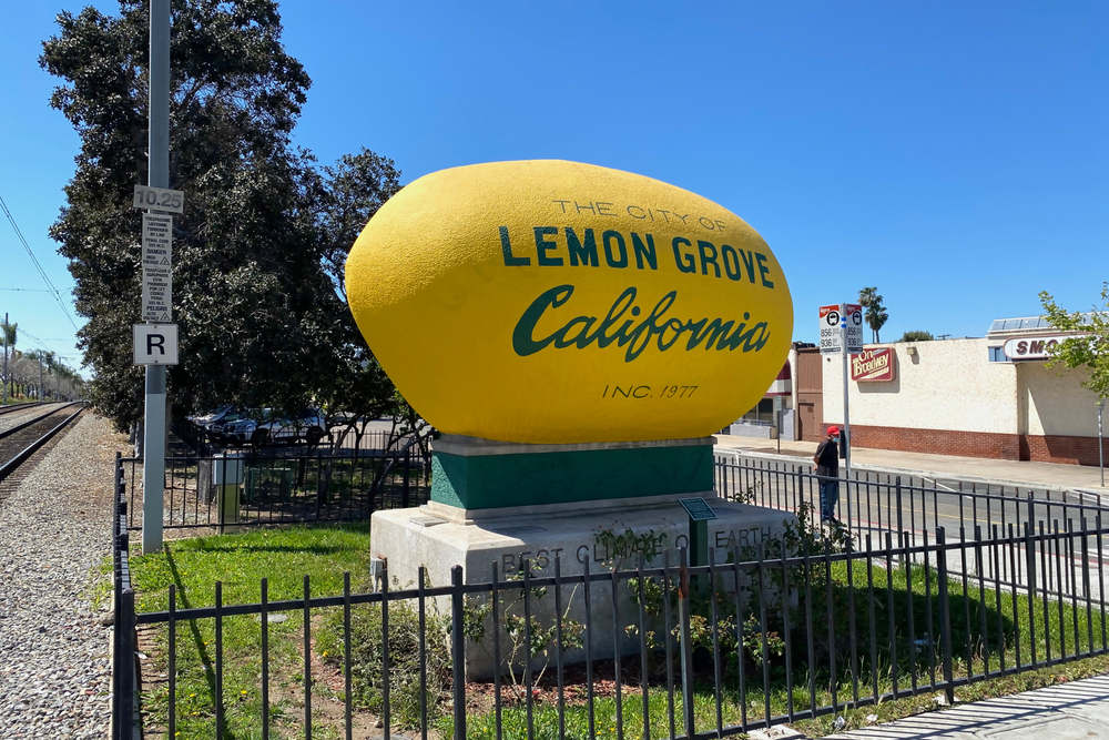 Palm Tree Maintenance Services in Lemon Grove, CA