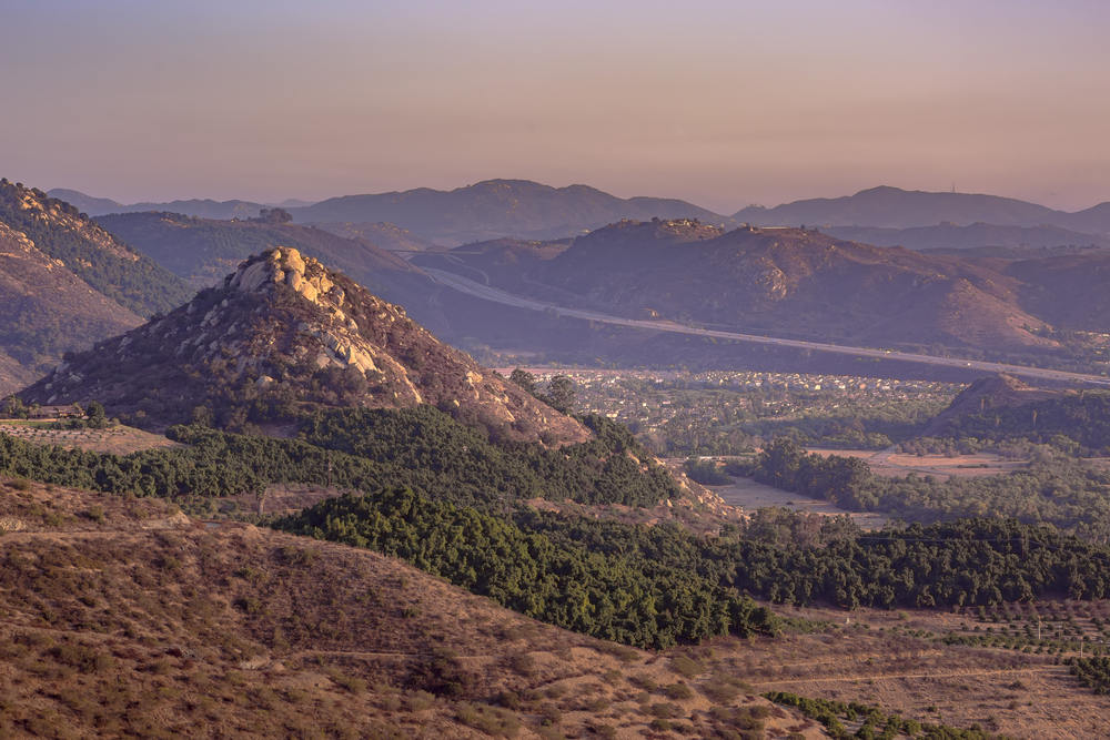 Reliable Arborists in Fallbrook, CA