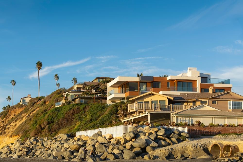 Sad Tree Rejuvenation Service in Encinitas
