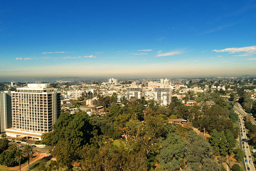 Tree Care Services in Hillcrest, CA