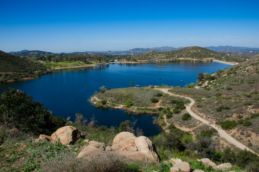 Cabling and Bracing Services in Poway