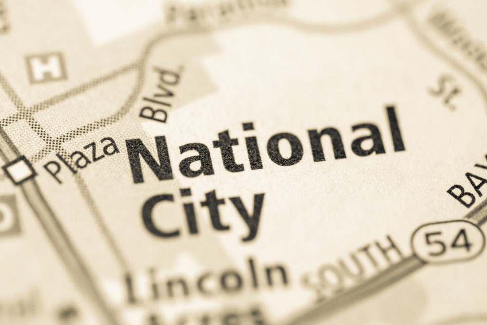Fine Pruning Services in National City