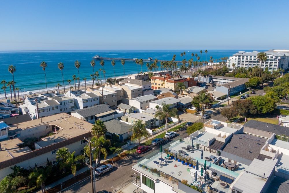 Palm Tree Maintenance Services in Oceanside, CA