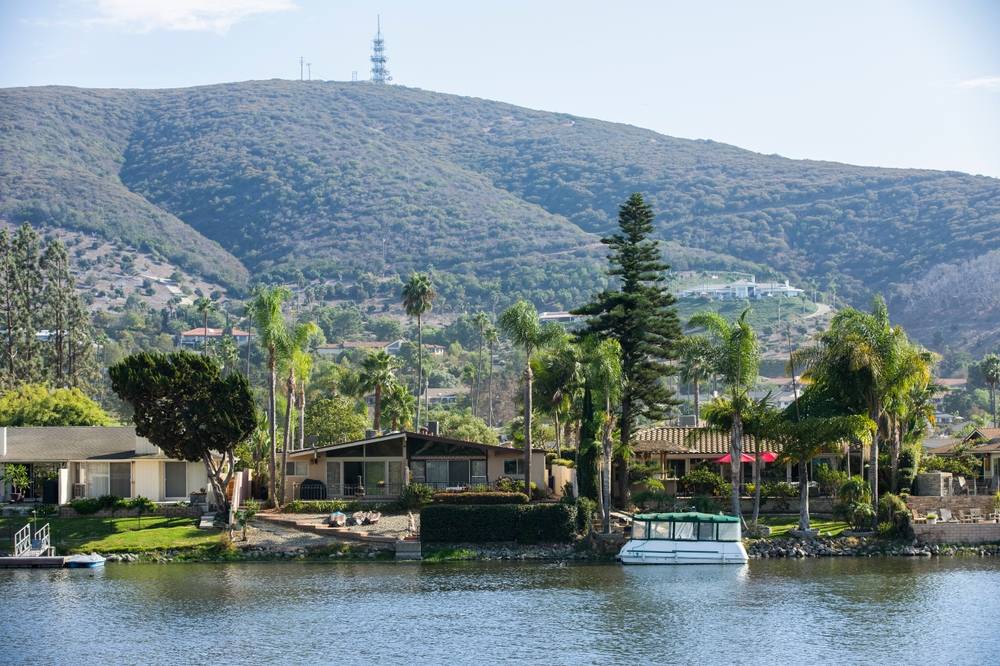 Palm Tree Maintenance Services in San Marcos, CA