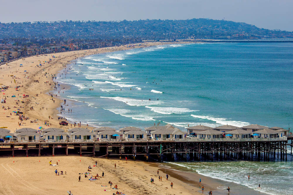 Root Pruning Services in Pacific Beach