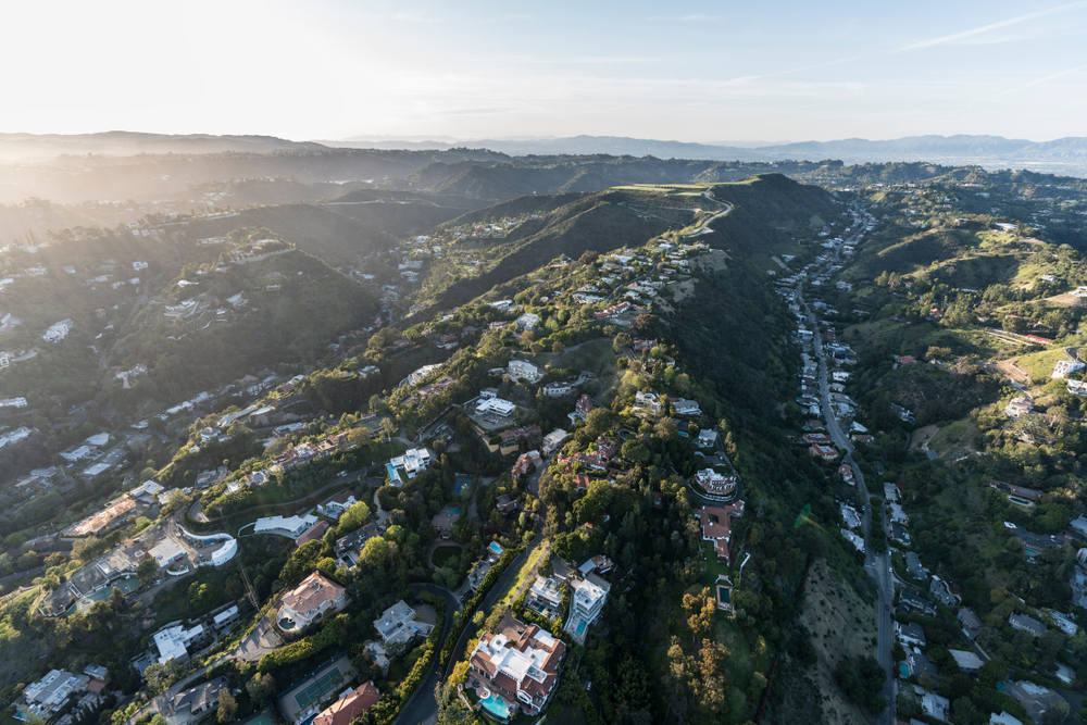 Root Pruning Services in San Ysidro, CA