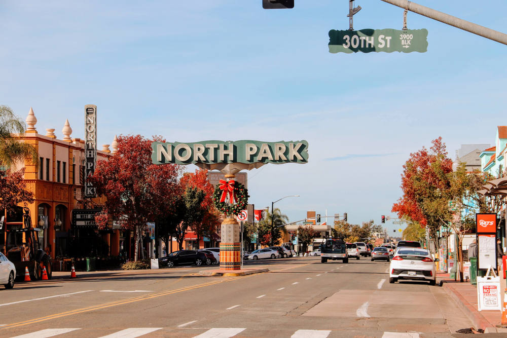 Sad Tree Rejuvenation Service in North Park