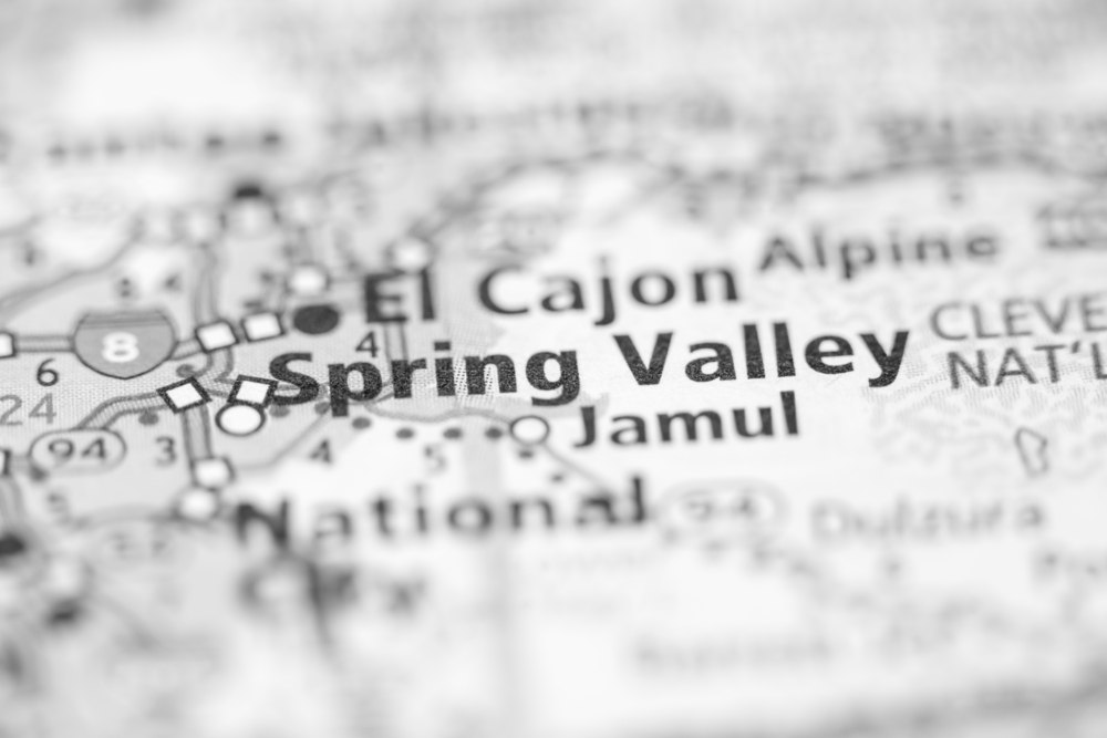 Sad Tree Rejuvenation Service in Spring Valley, CA