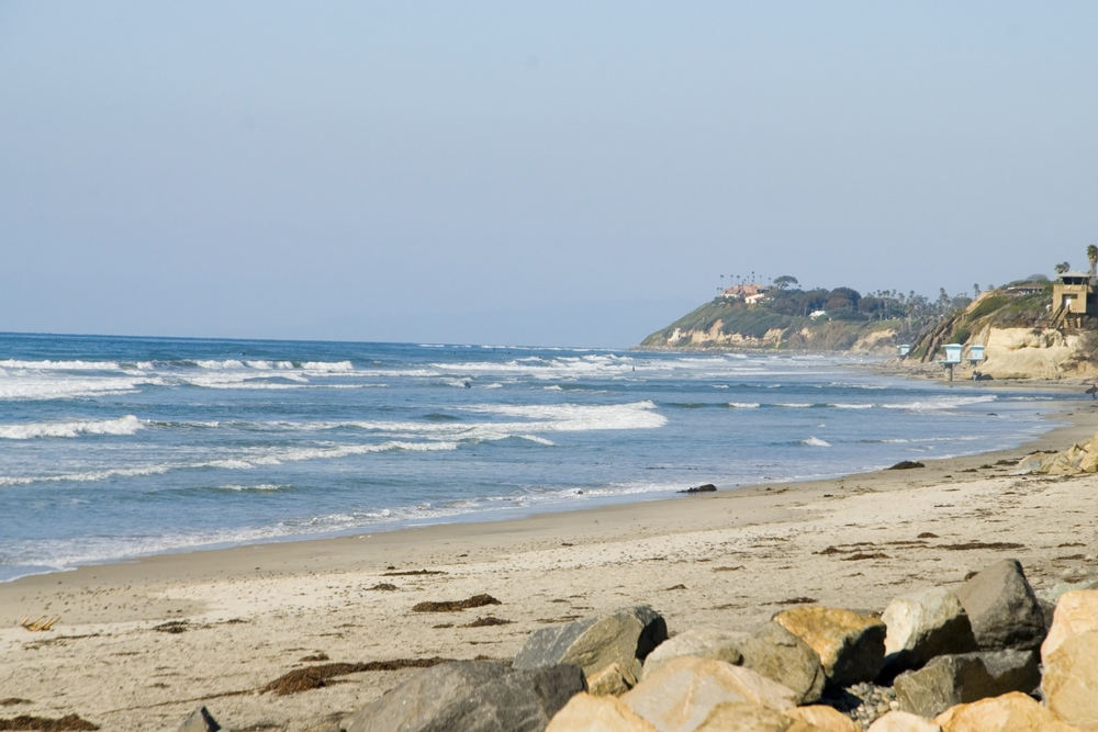 Tree Selection and Planting Services in Solana Beach, CA