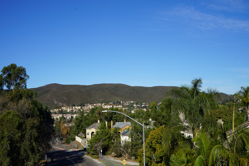 Cabling and Bracing Services in Carmel Mountain Ranch, CA