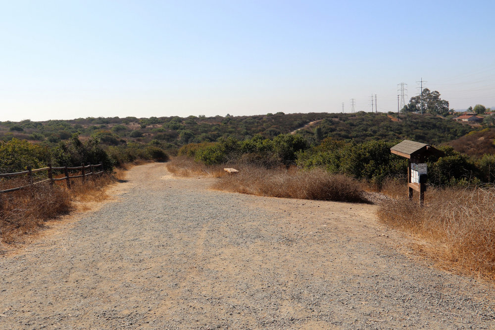 Cabling and Bracing Services in Tierrasanta, CA