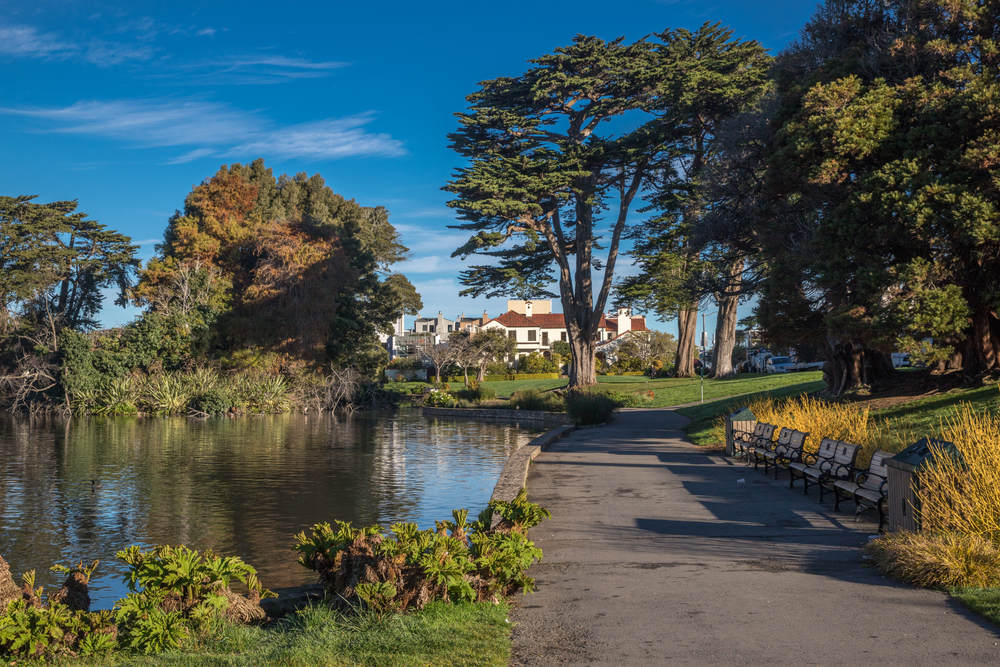 Deep Root Fertilization Services in Marina District, CA
