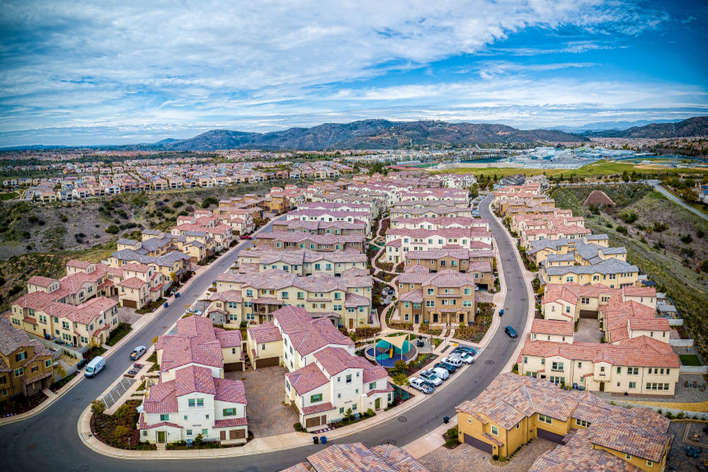 Palm Tree Maintenance Services in 4S Ranch