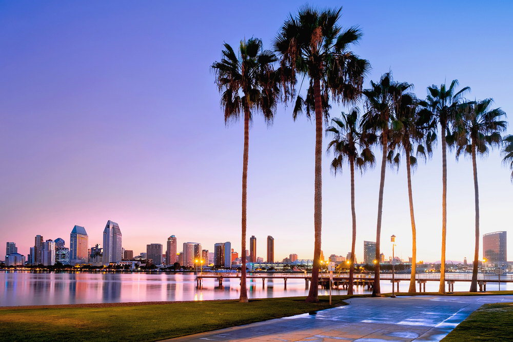 Palm Tree Maintenance Services in Harbor Island, CA