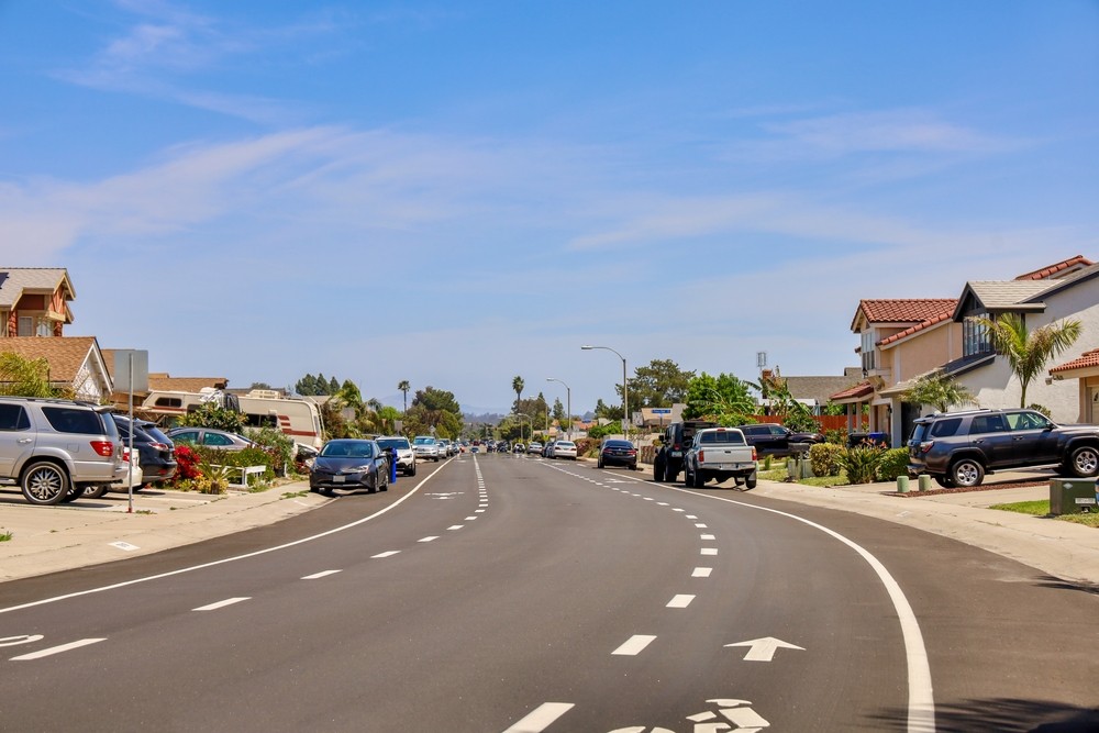 Palm Tree Maintenance Services in Sorrento Valley, CA