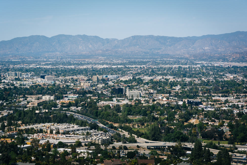 Palm Tree Maintenance Services in University City (UTC), CA