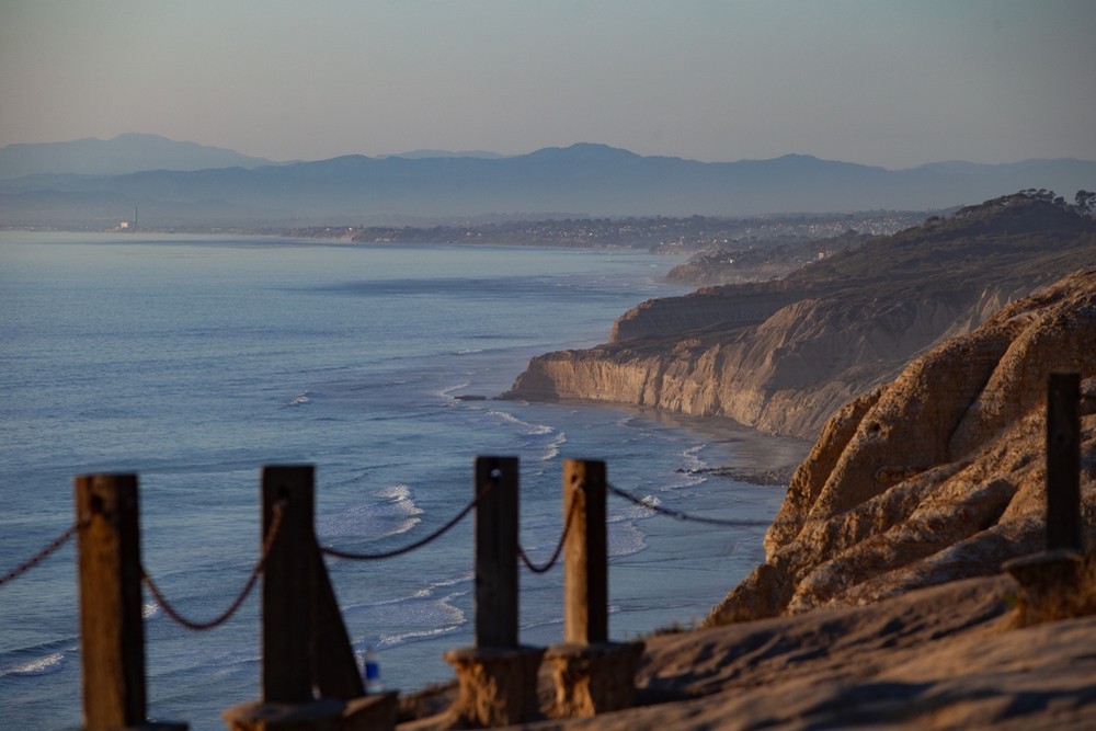 Tree Removal Services in Torrey Pines, CA